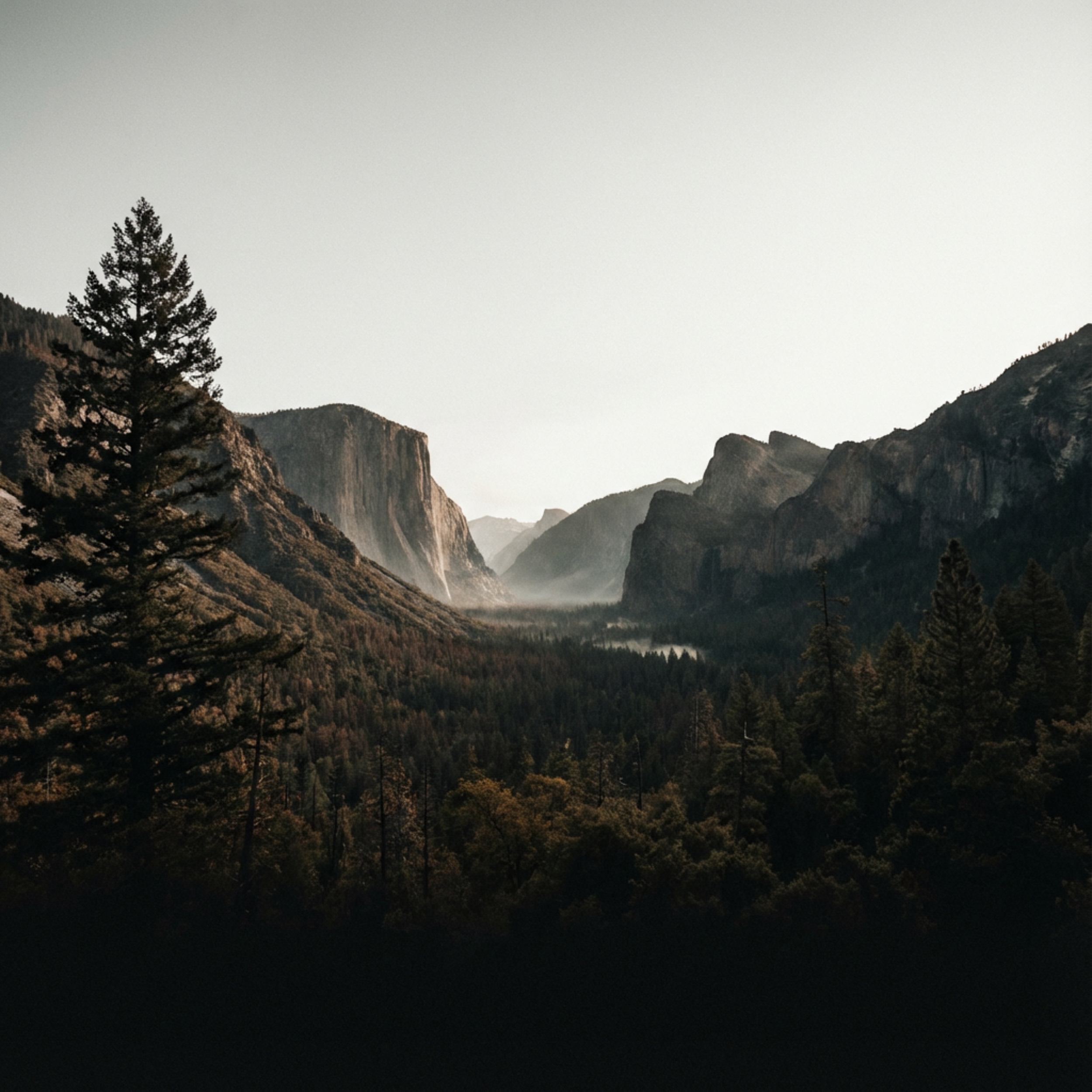A scenic view of a mountain valley with tall, rugged cliffs on both sides, dense forest at the bottom, and a winding river or stream passing through the valley, with a clear sky overhead.