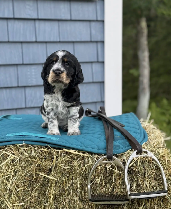 Screenshot 2025-08-25 000416.png