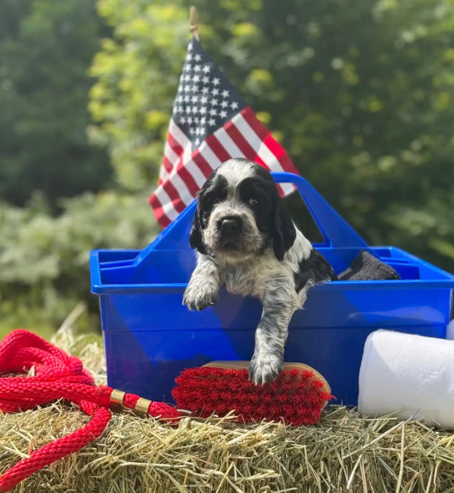 Screenshot 2025-08-25 000548.png