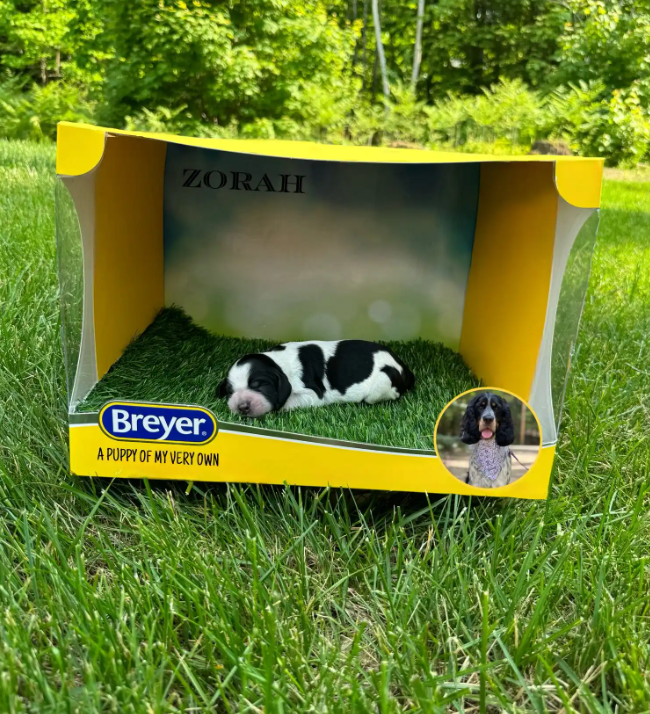 Screenshot 2025-08-25 000954.png