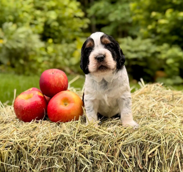 Screenshot 2025-08-25 000628.png