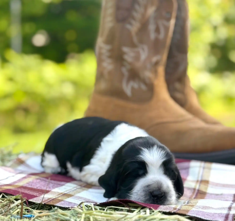 Screenshot 2025-08-25 000747.png