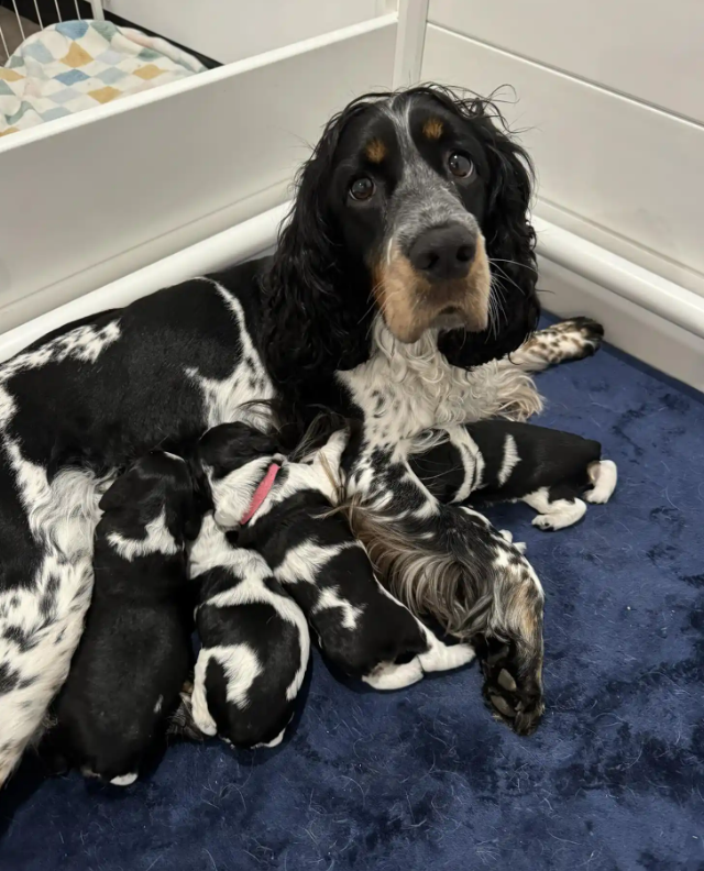 Screenshot 2025-08-25 000938.png