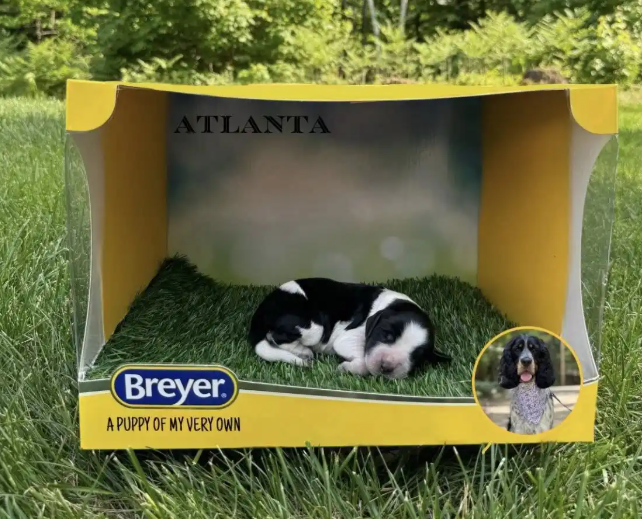 Screenshot 2025-08-25 001046.png