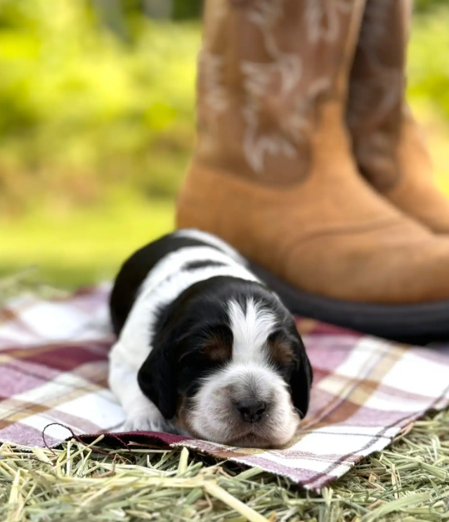 Screenshot 2025-08-25 000758.png