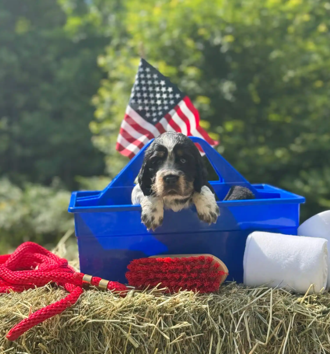 Screenshot 2025-08-25 000526.png