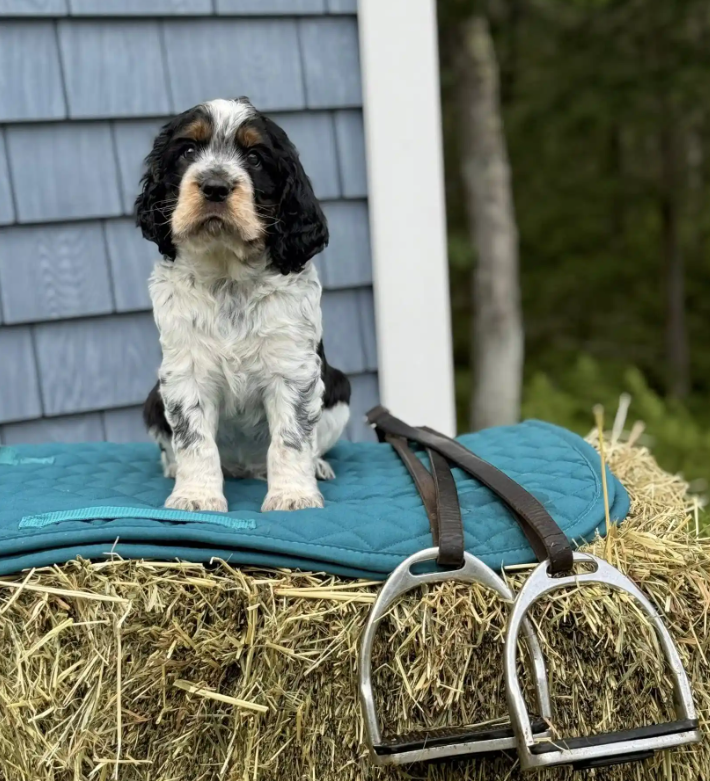 Screenshot 2025-08-25 000402.png