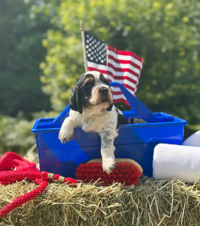 Screenshot 2025-08-25 000515.png