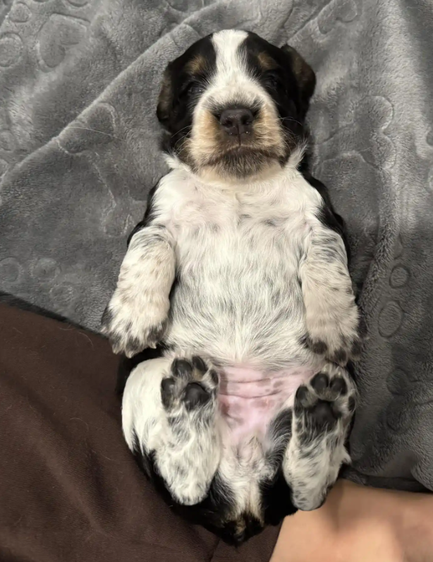 Screenshot 2025-08-25 000714.png