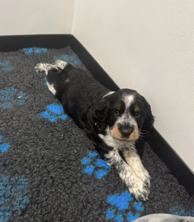 Screenshot 2025-08-25 000440.png