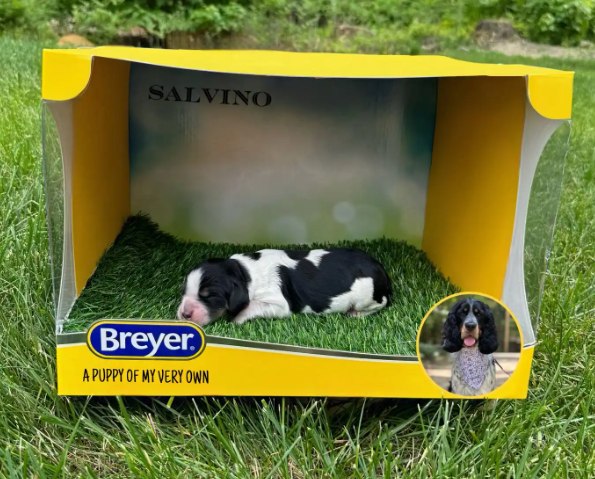 Screenshot 2025-08-25 001058.png