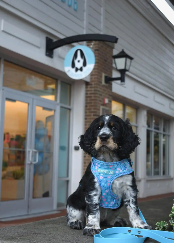 Screenshot 2025-08-25 000314.png