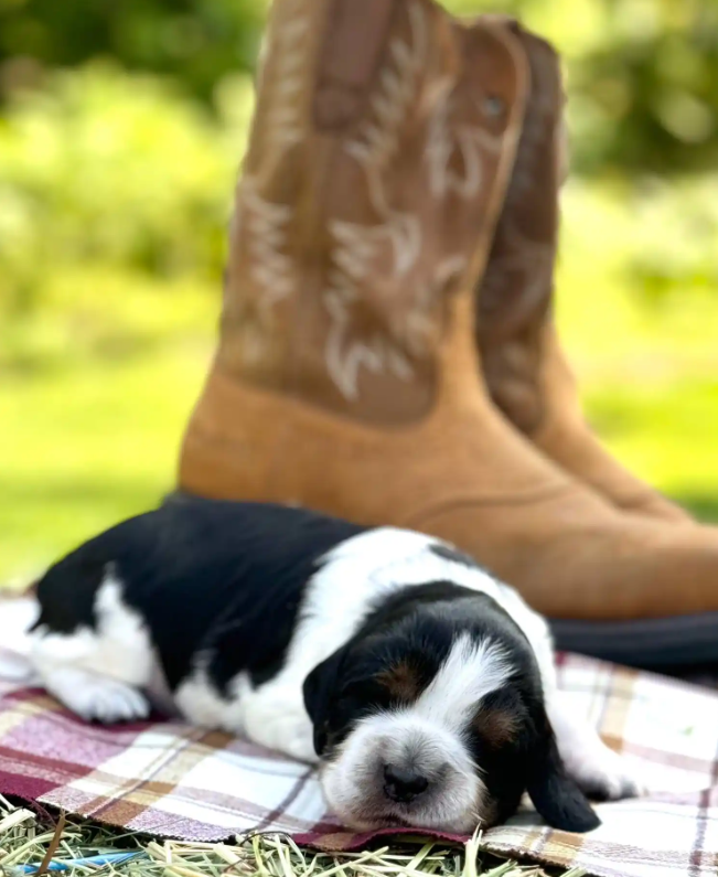 Screenshot 2025-08-25 000809.png