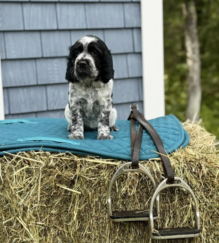 Screenshot 2025-08-25 000330.png