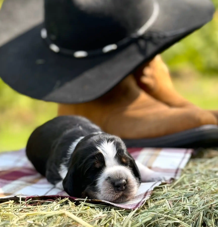 Screenshot 2025-08-25 000845.png