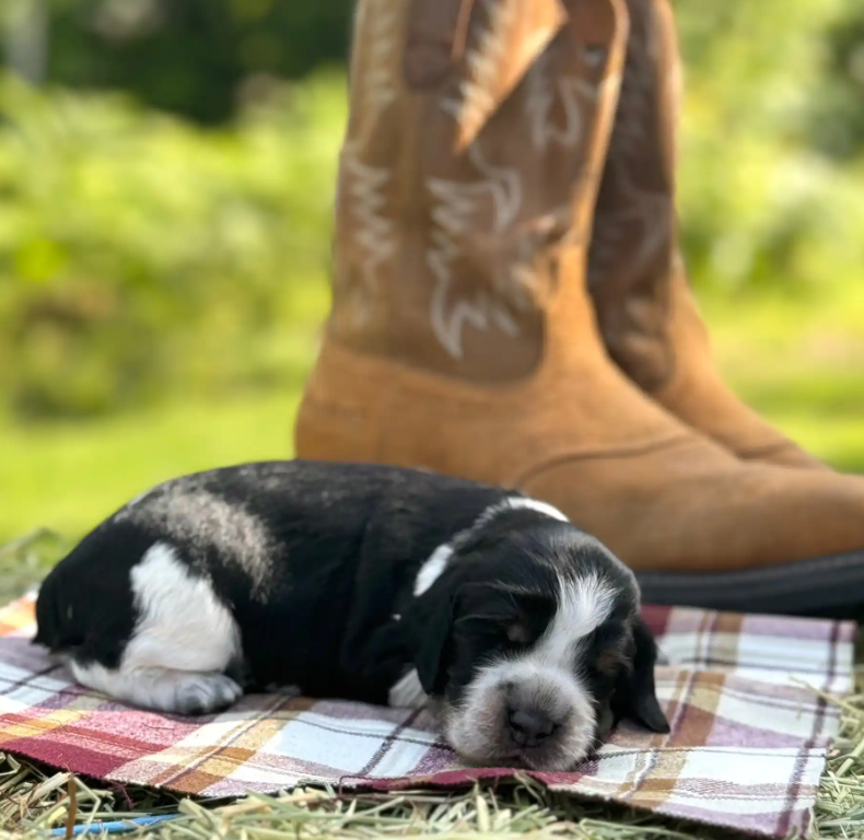 Screenshot 2025-08-25 000834.png