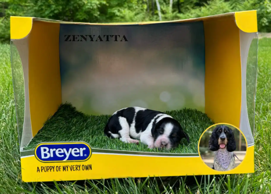 Screenshot 2025-08-25 001125.png