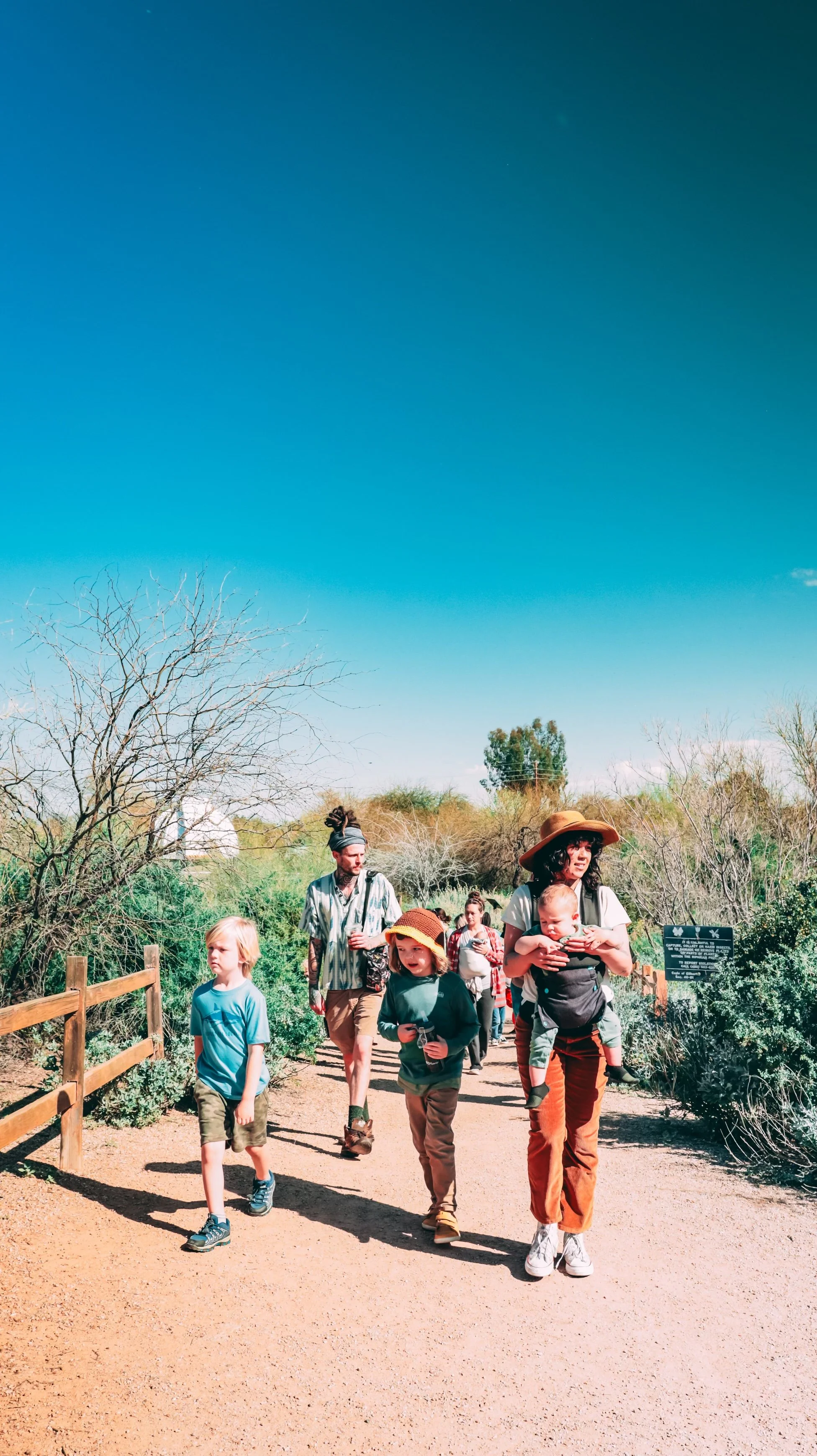 Sonoran Desert Kid’s Plant Walk