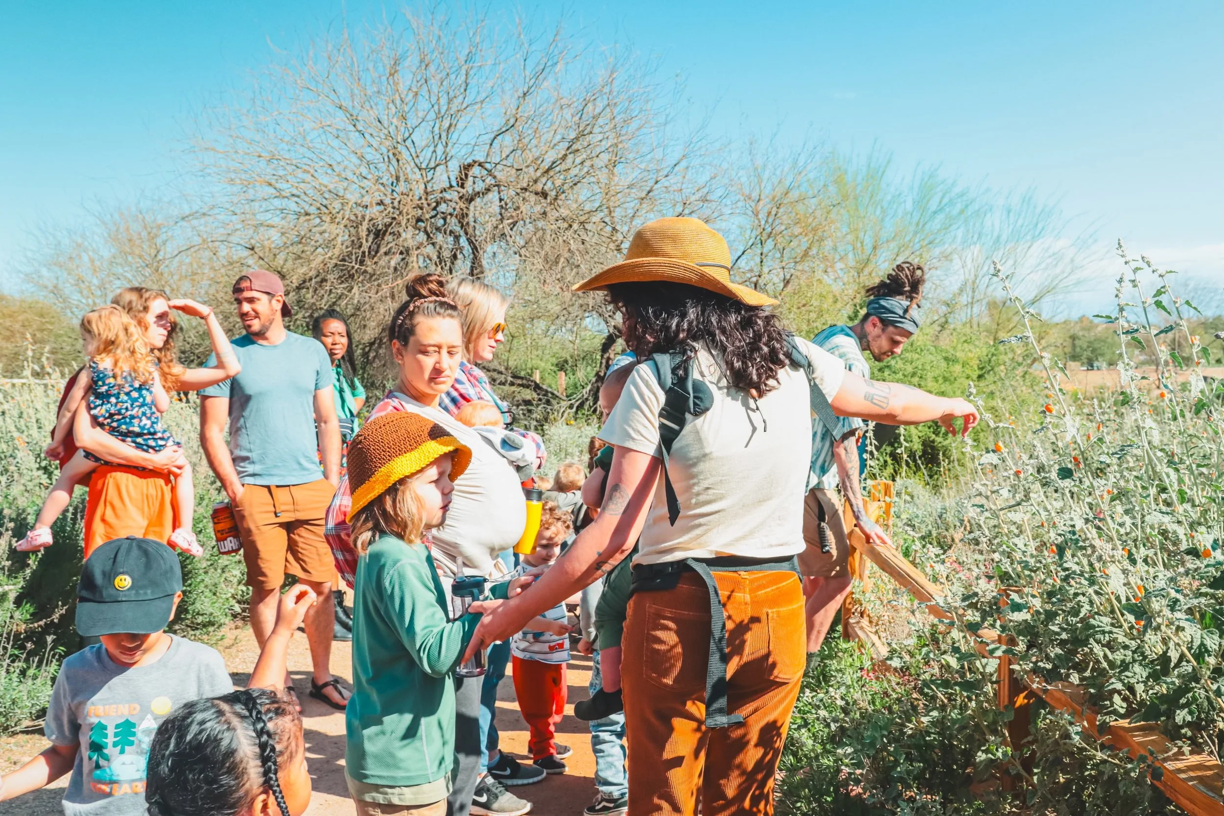 Sonoran Desert Kid’s Plant Walk
