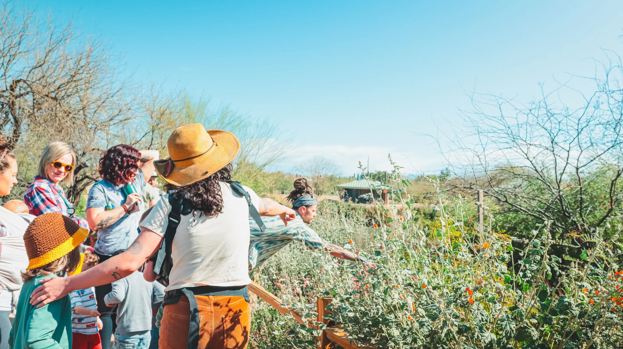 Sonoran Desert Kid’s Plant Walk