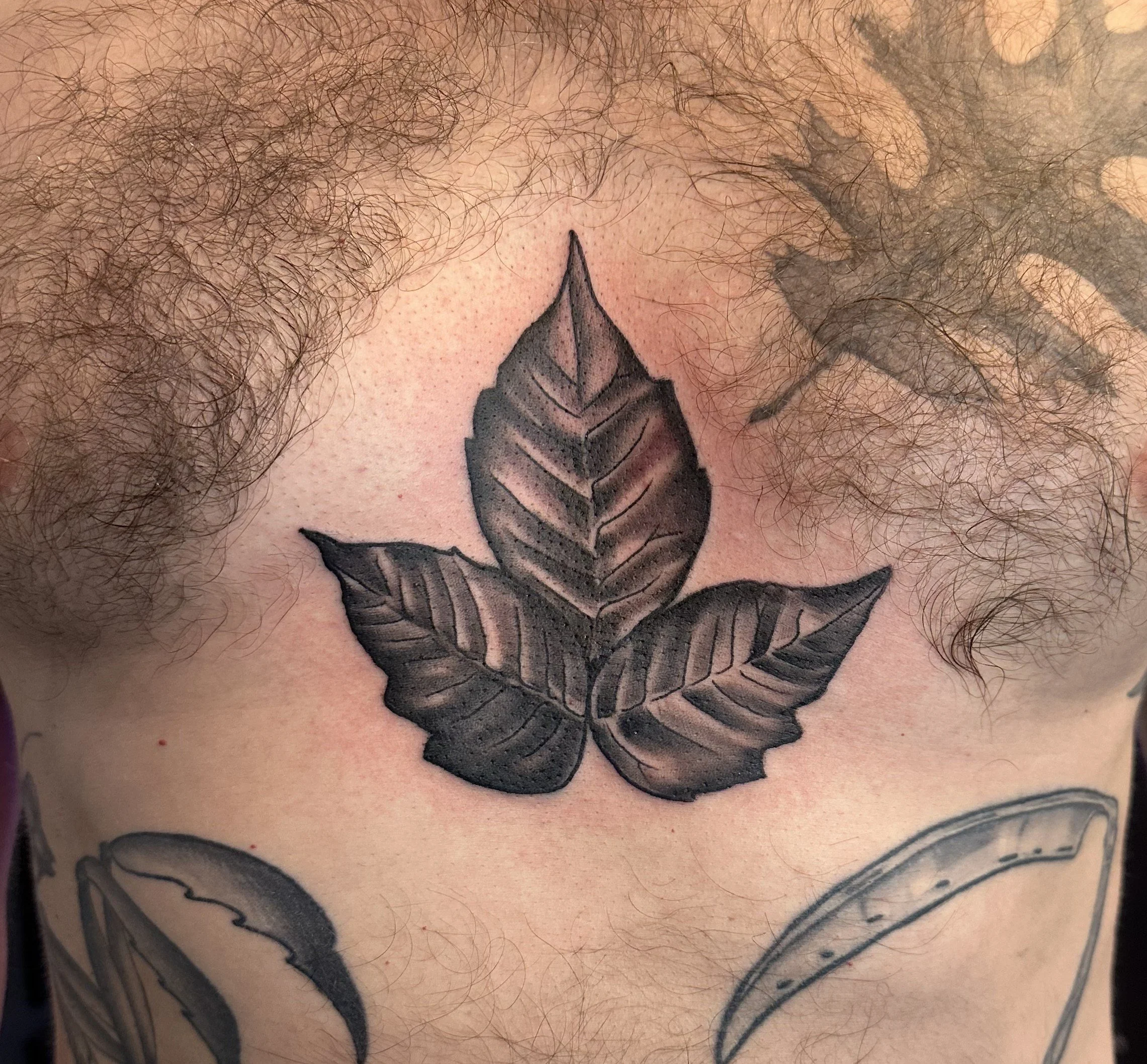A black and gray tattoo of a cluster of three leaves on a person's chest, with visible chest hair surrounding the tattoo.