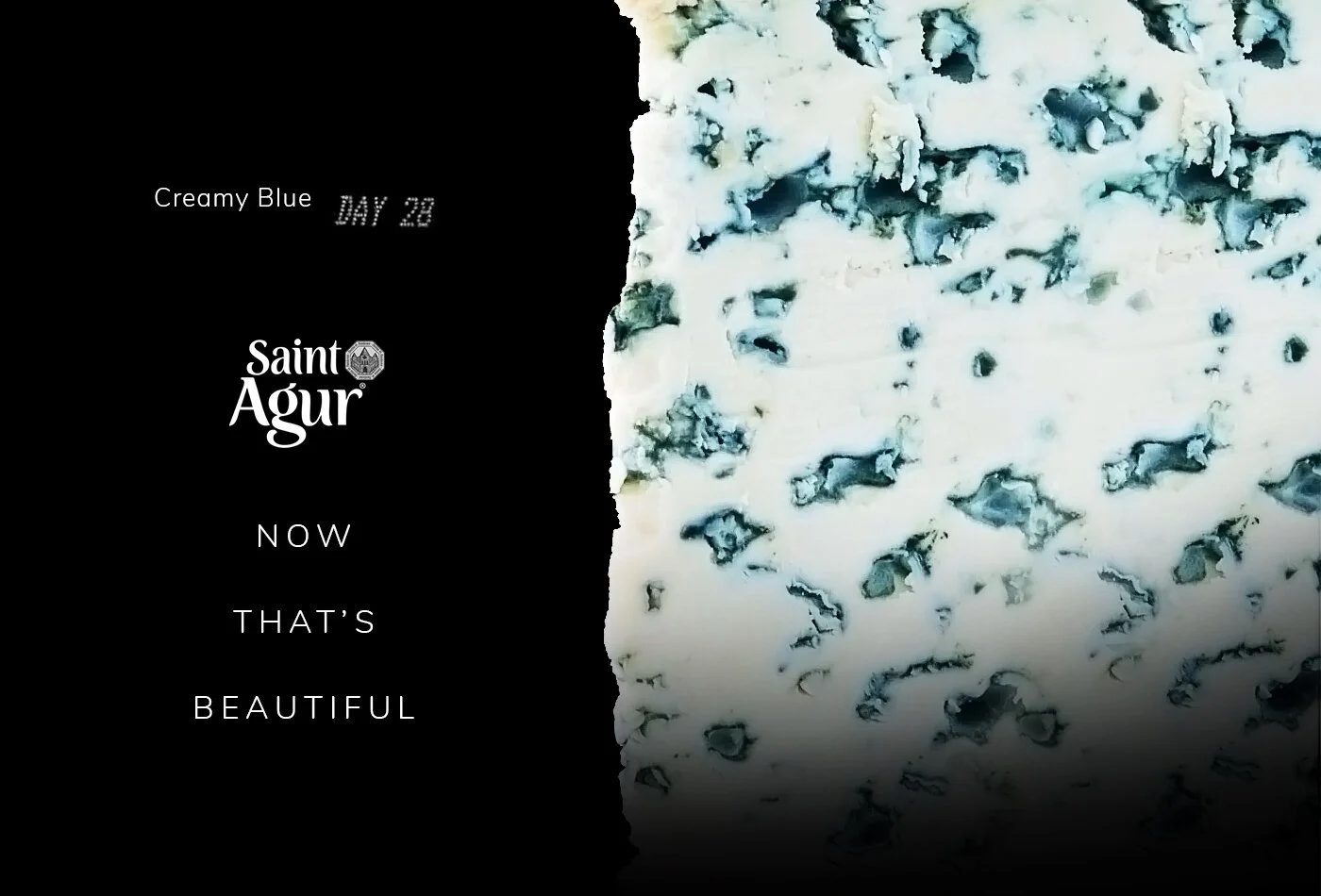 Saint Agur vs Burger King