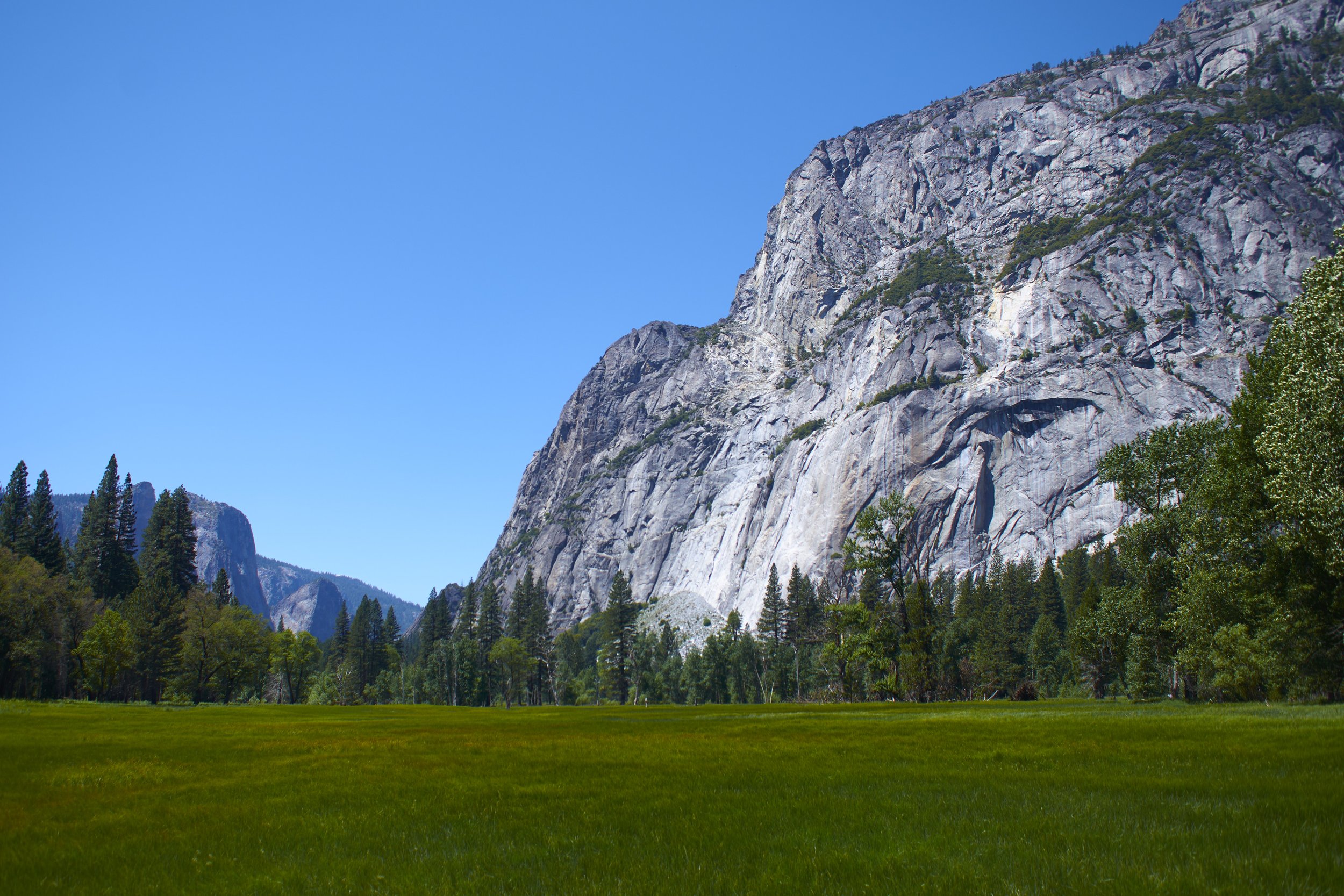 DSC_3022 1.jpg