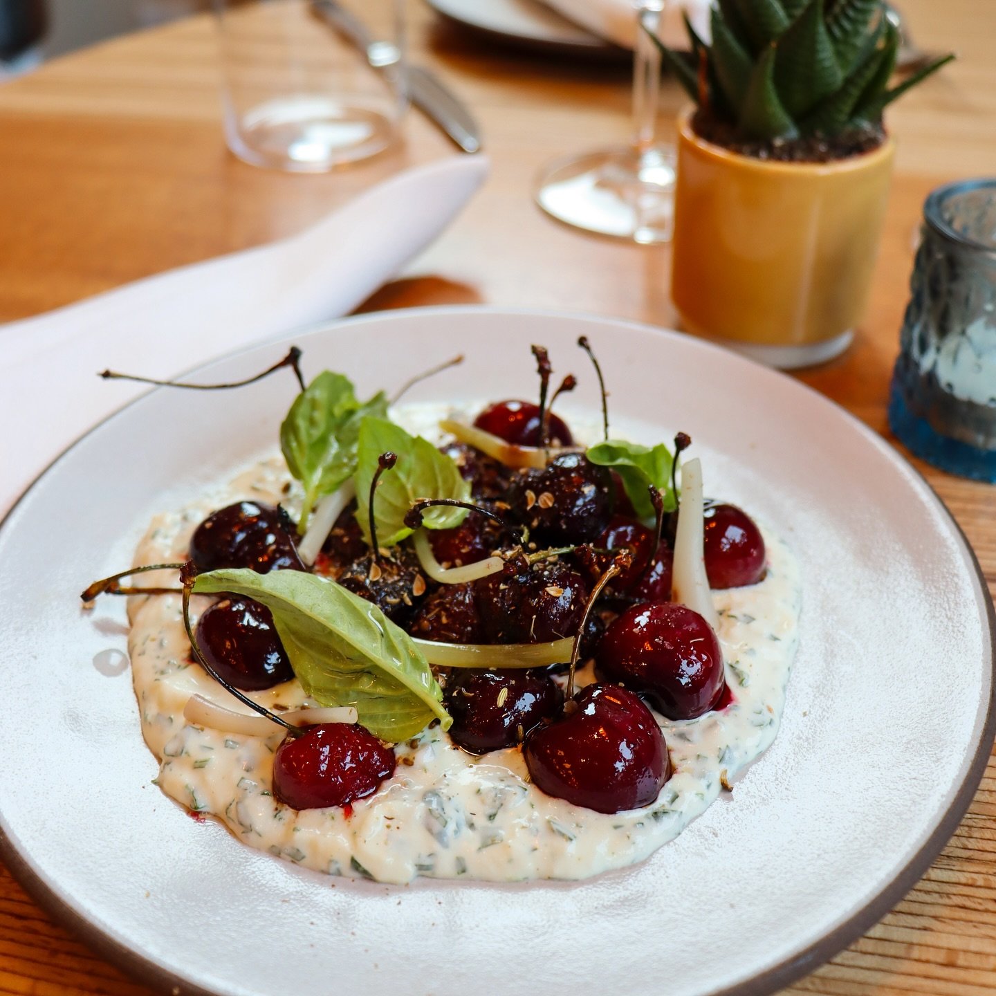 Nothing screams summer like this new starter! Wood fired bing cherries, herb stracciatella, pickled ramps and fennel spezie forti. Try something new today at Stella and shake things up ☀️ 🍒