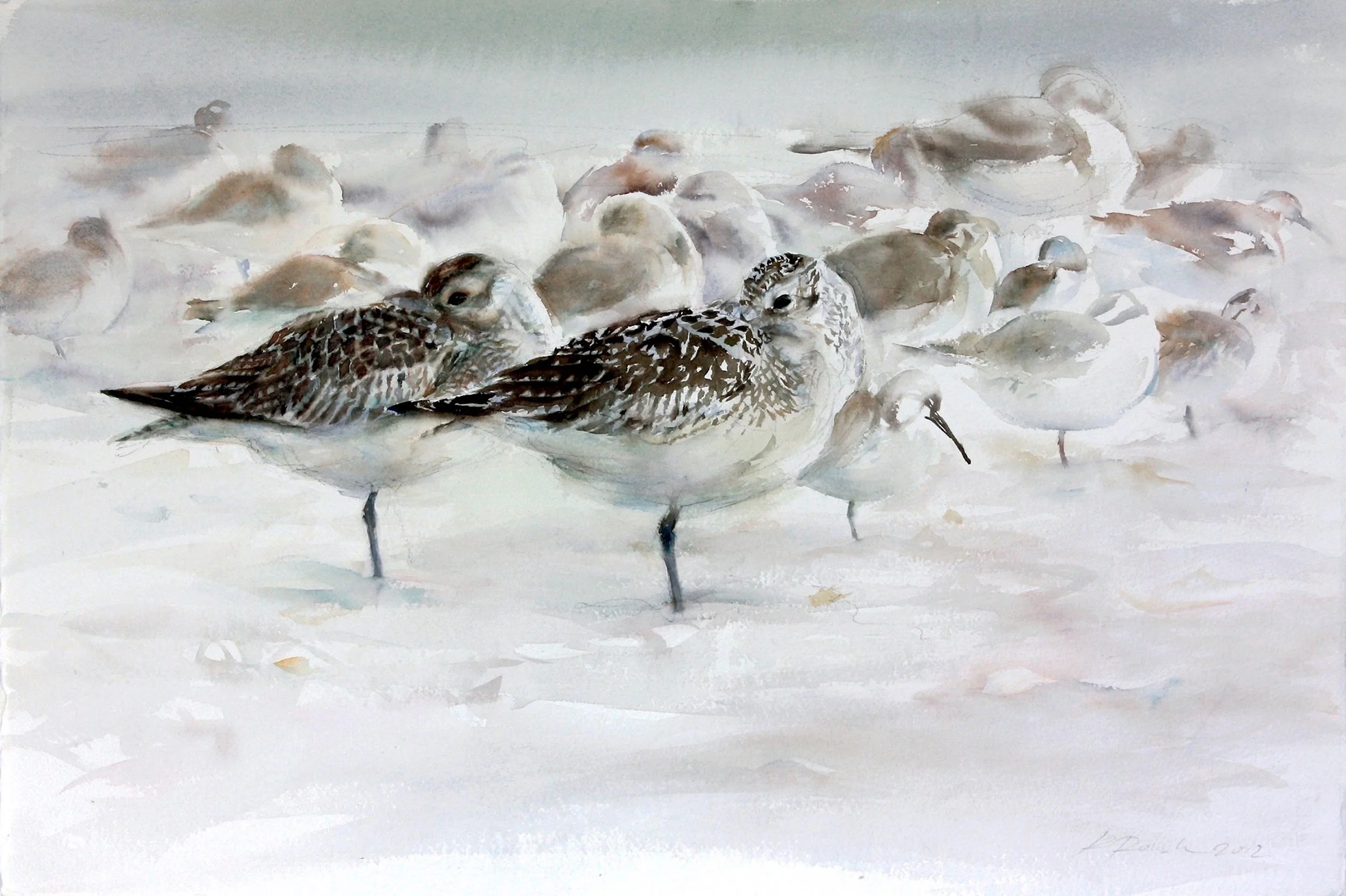 05_ROUSH Resting in the Wind copy.jpg