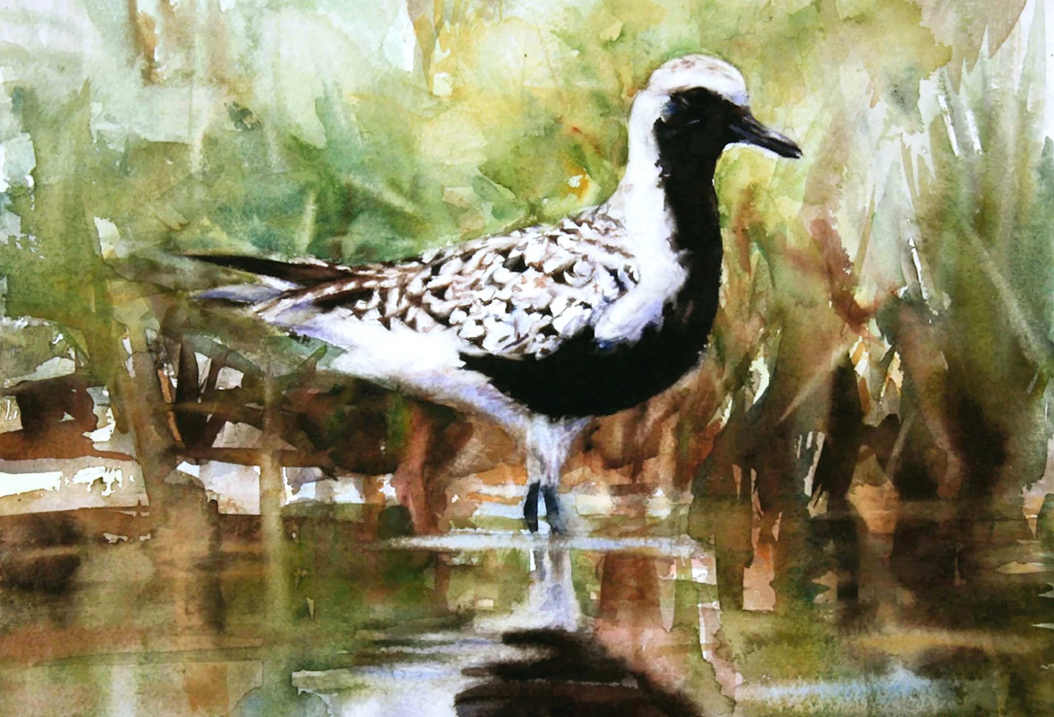 Nummy Island copy.jpeg