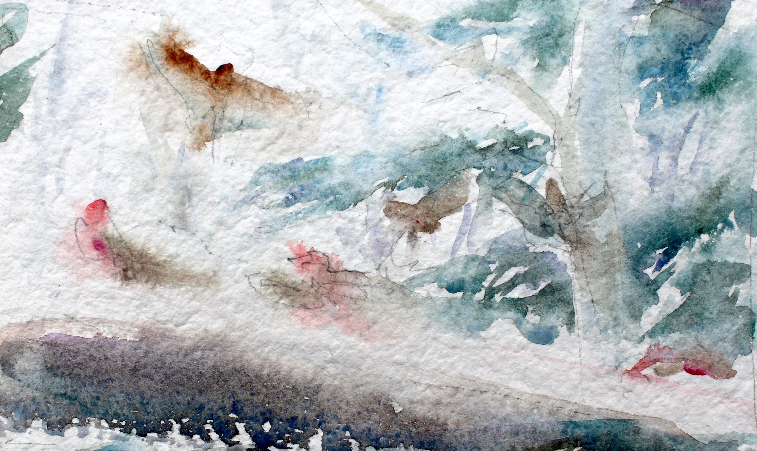 IMG_8448.jpg.CASSINS STUDY AQUARI 300 dpi.jpg