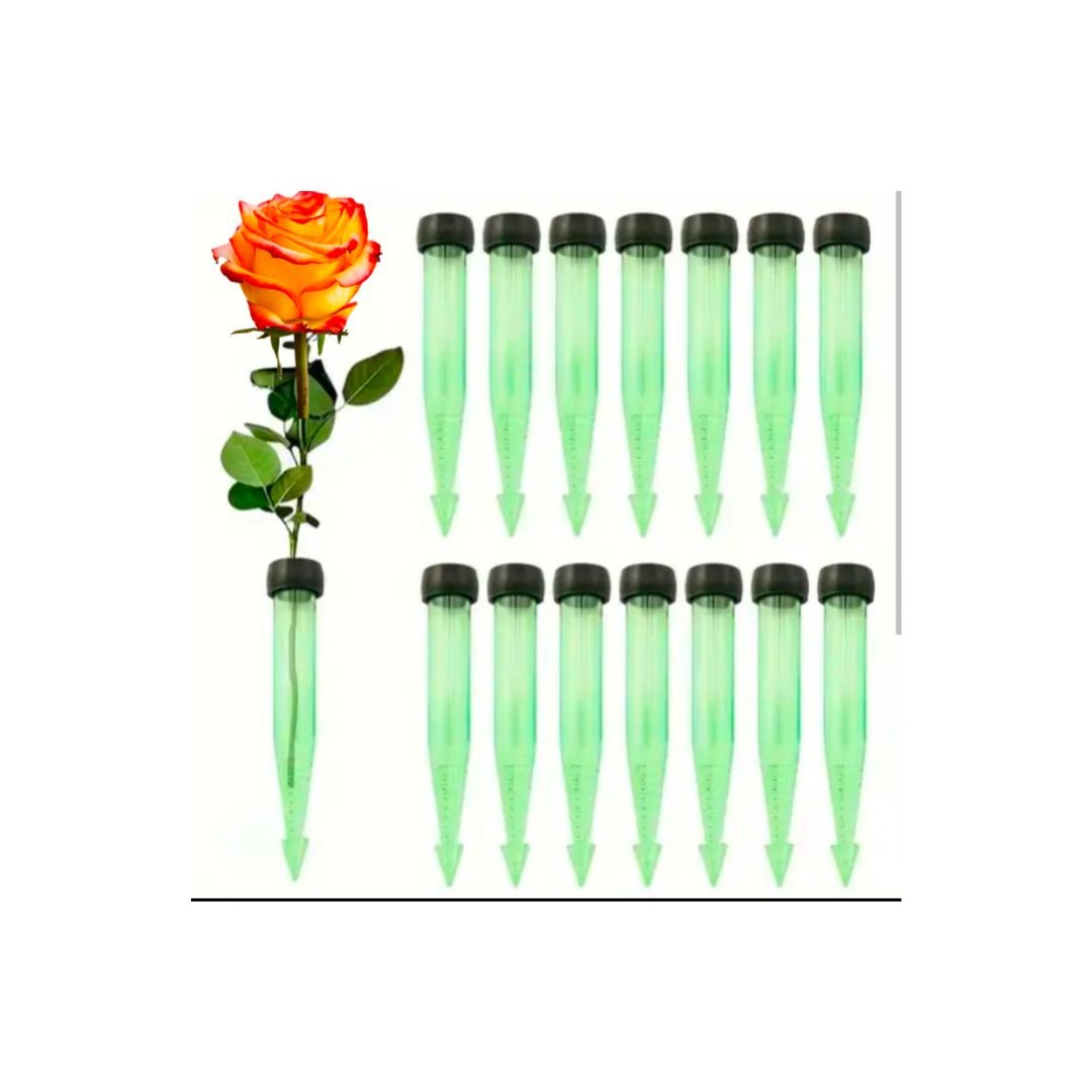 Untitled design.jpg