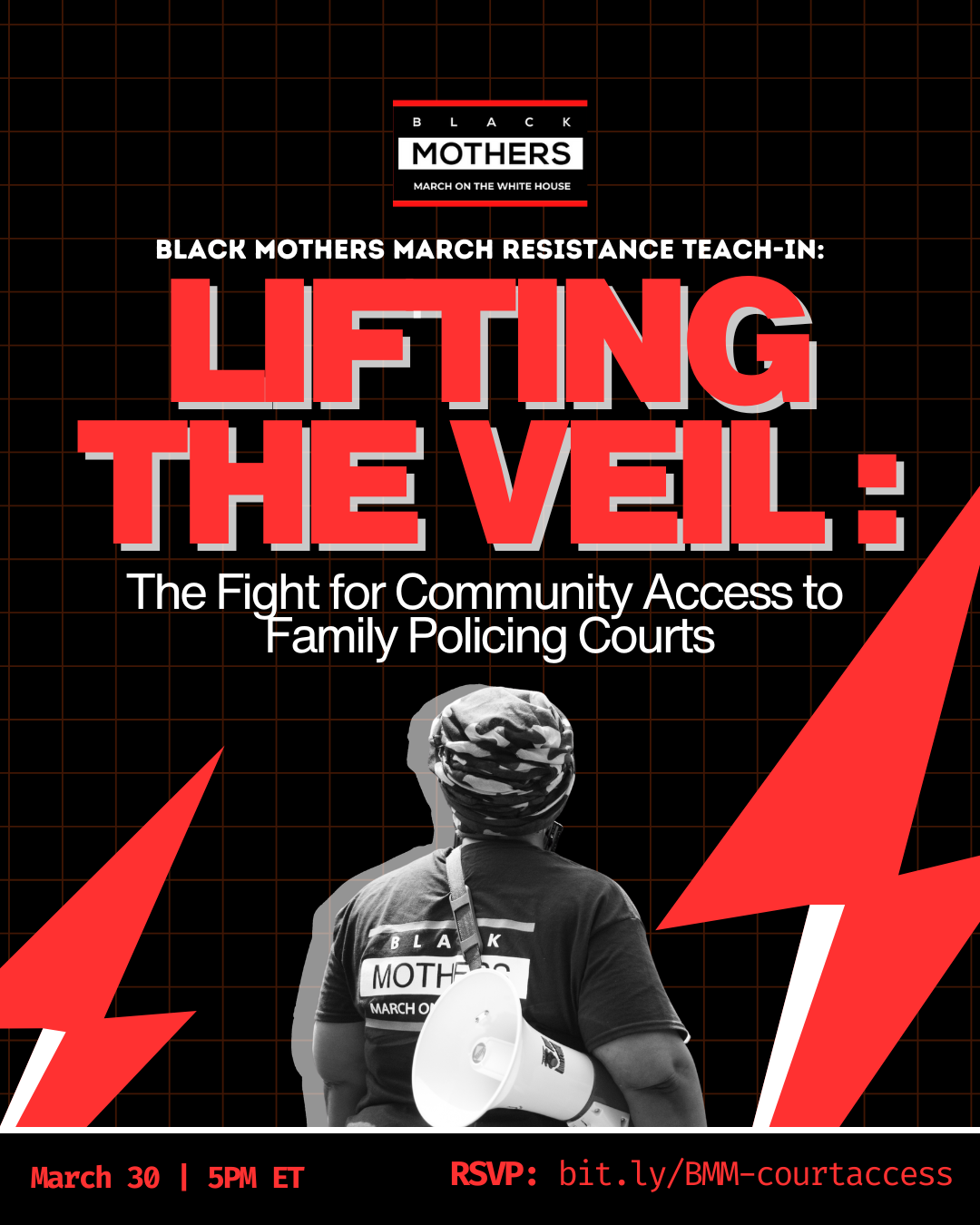 Black Mothers March: Lifting the Veil: The Fight for Community Access to Family Policing Courts
