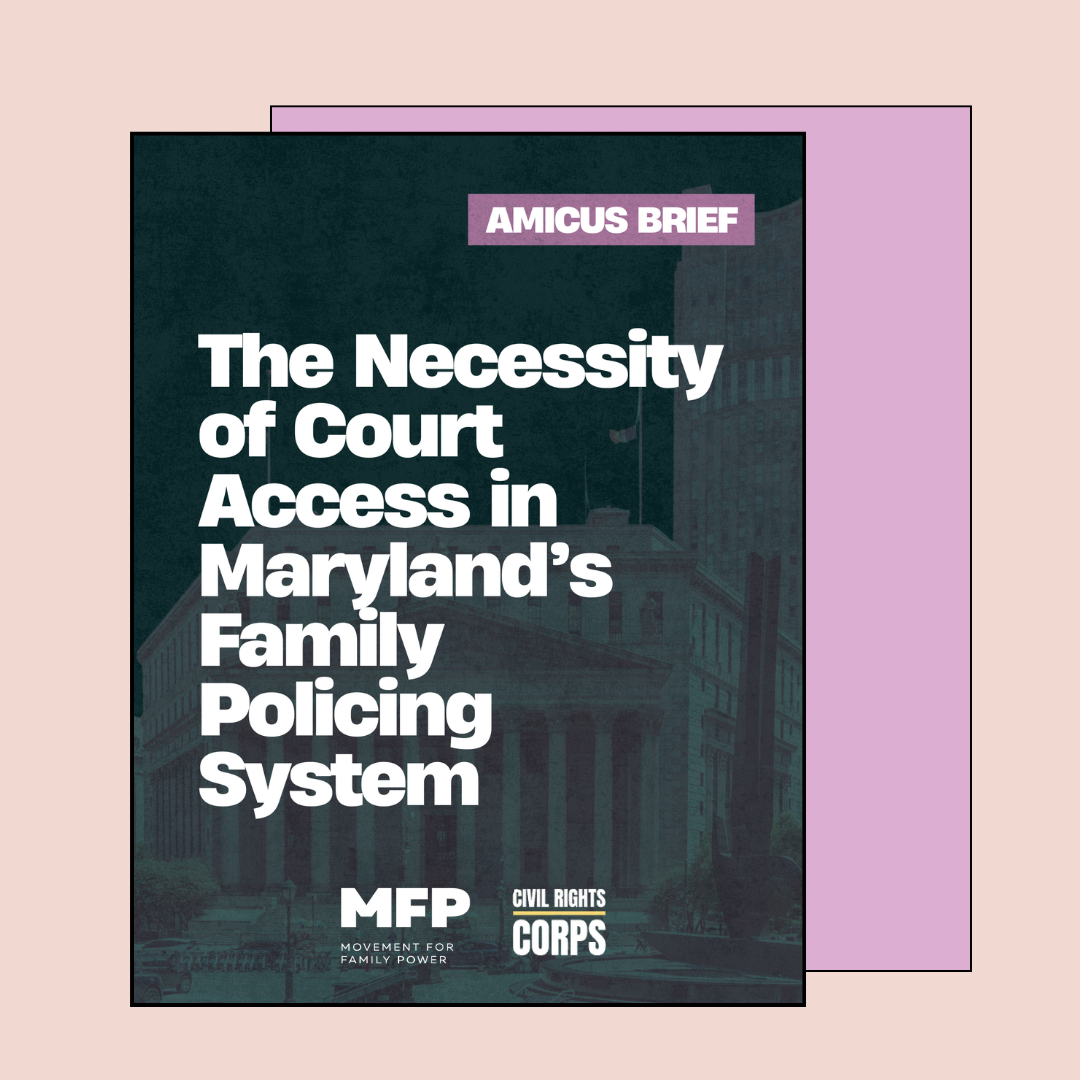 Amicus Brief on the Necessity of Court Access in Maryland’s Family Policing System&nbsp;