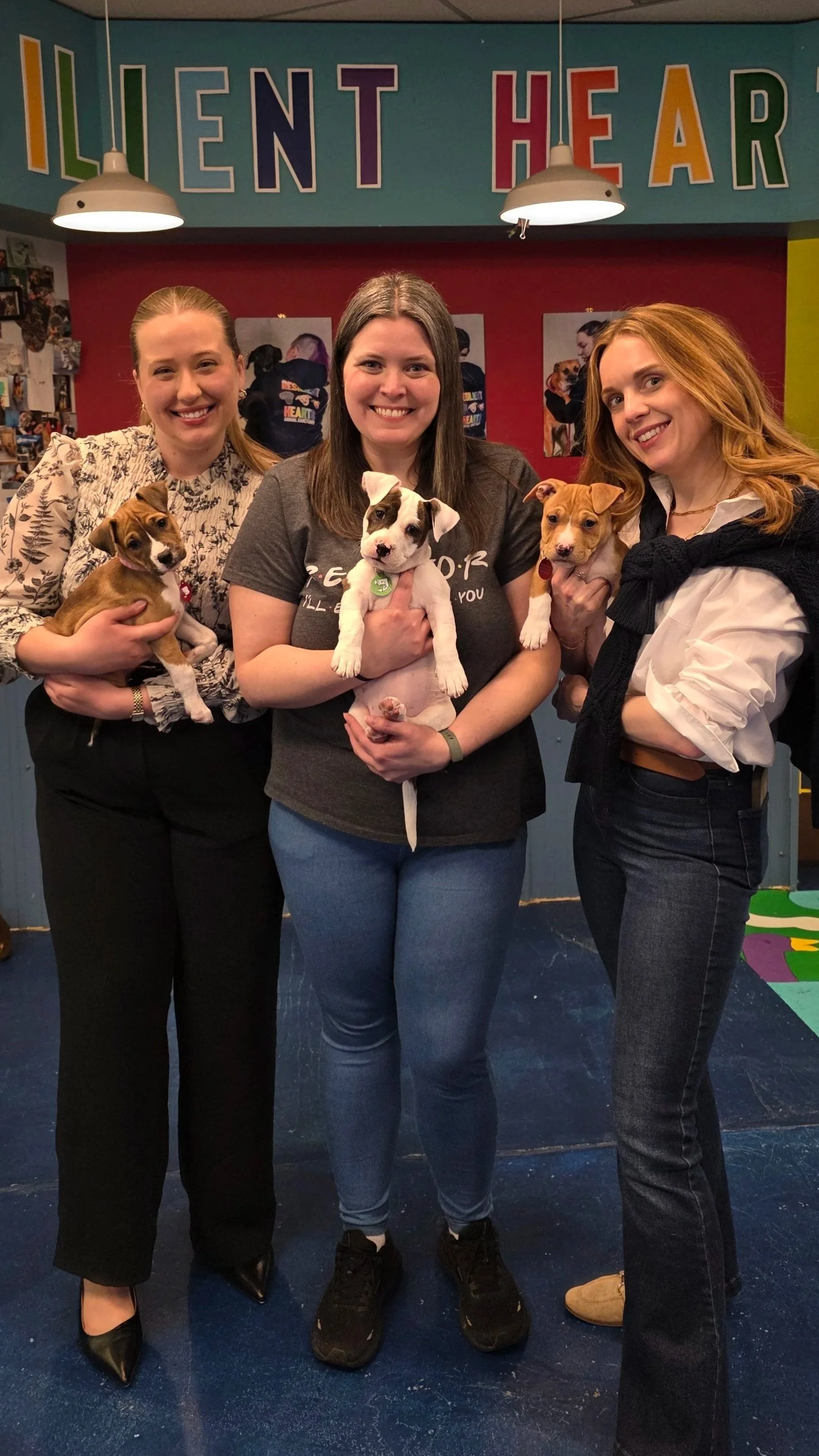 Three women holding puppies in a room with colorful walls and the words 'Resilient Hearts' displayed above them.