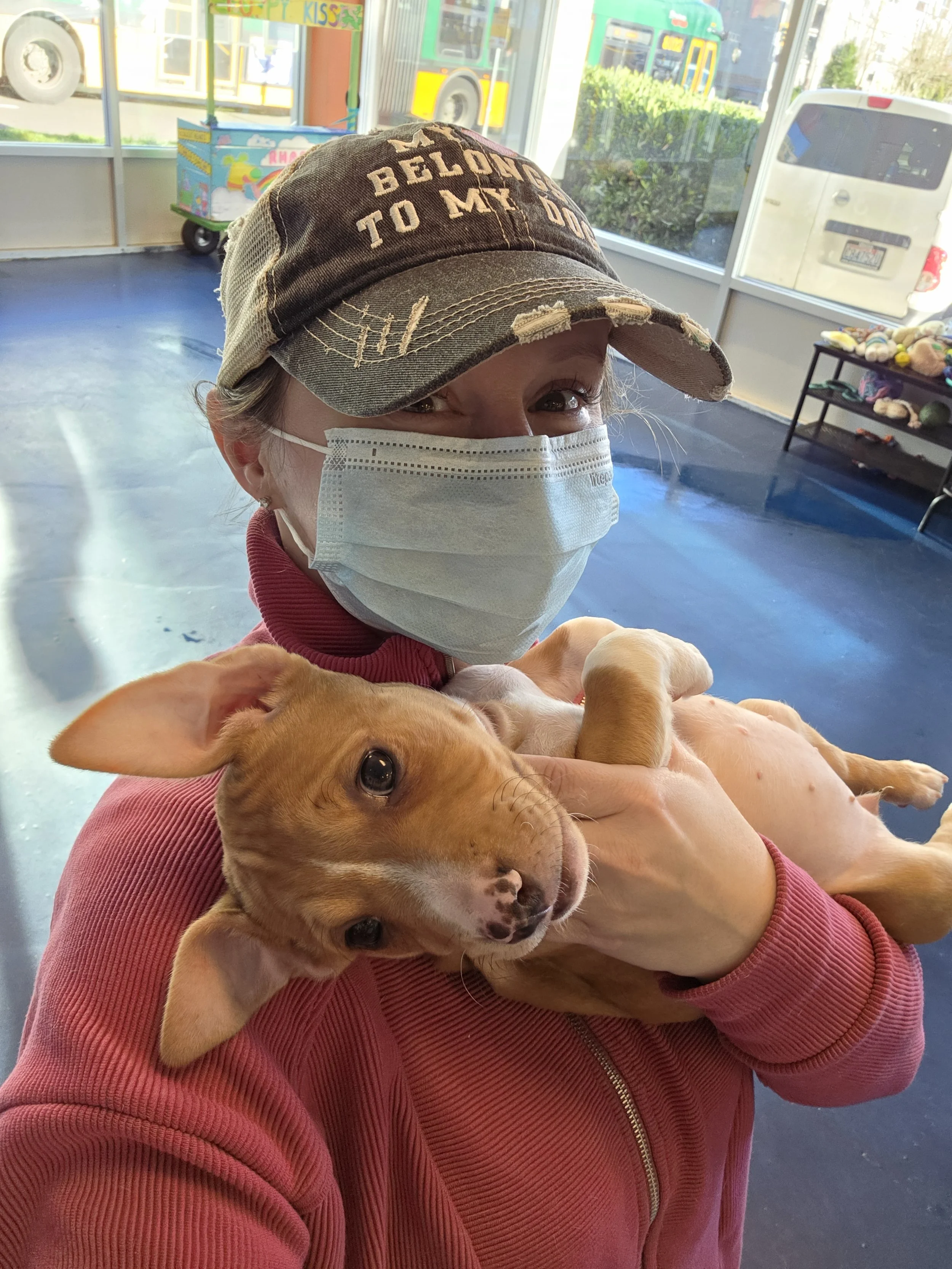 A woman wearing a face mask and baseball cap holding a small tan puppy with white markings on its face indoors with large windows in the background.