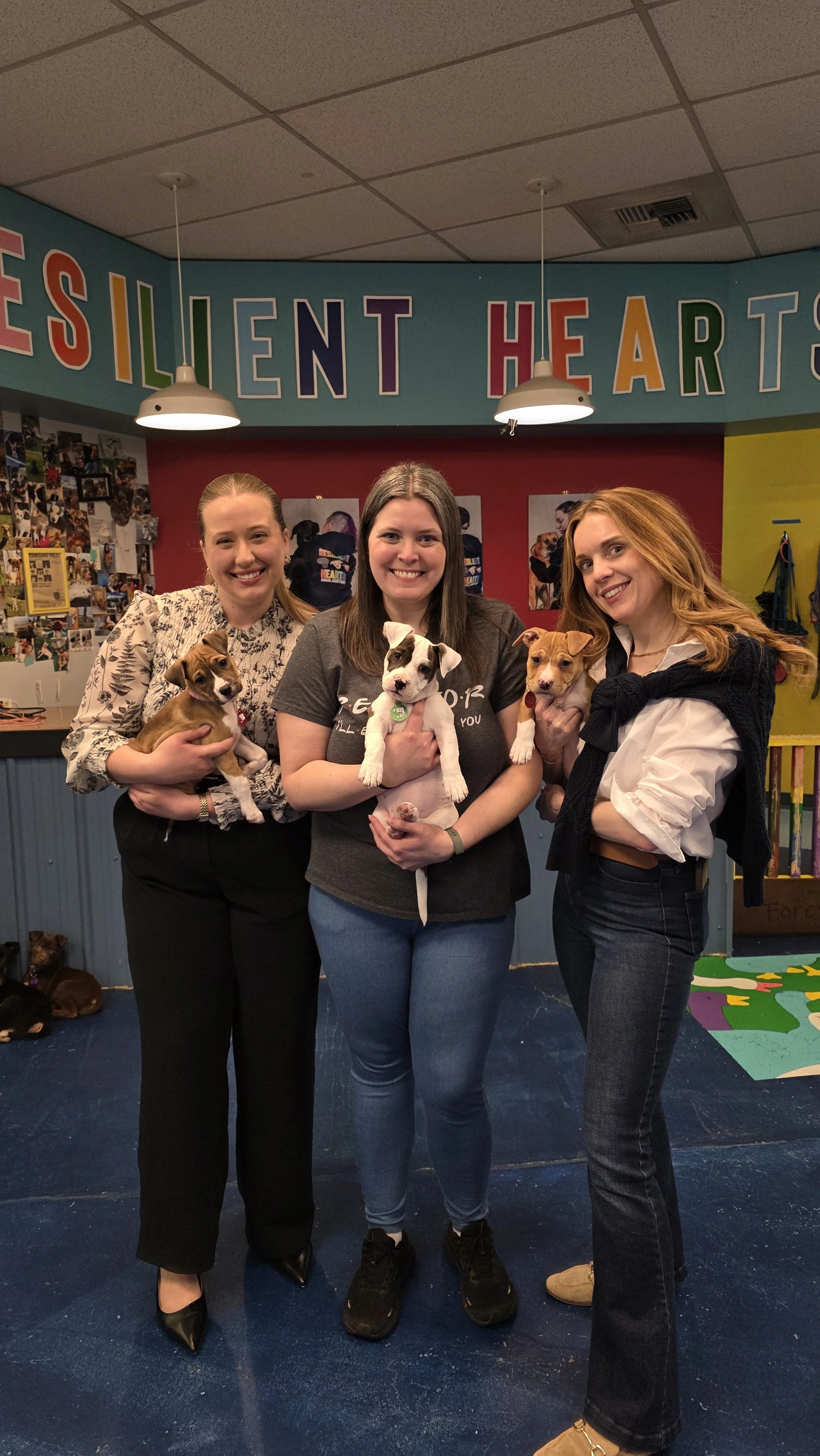 Three women holding puppies in a room with colorful walls and the words 'Resilient Hearts' displayed above them.