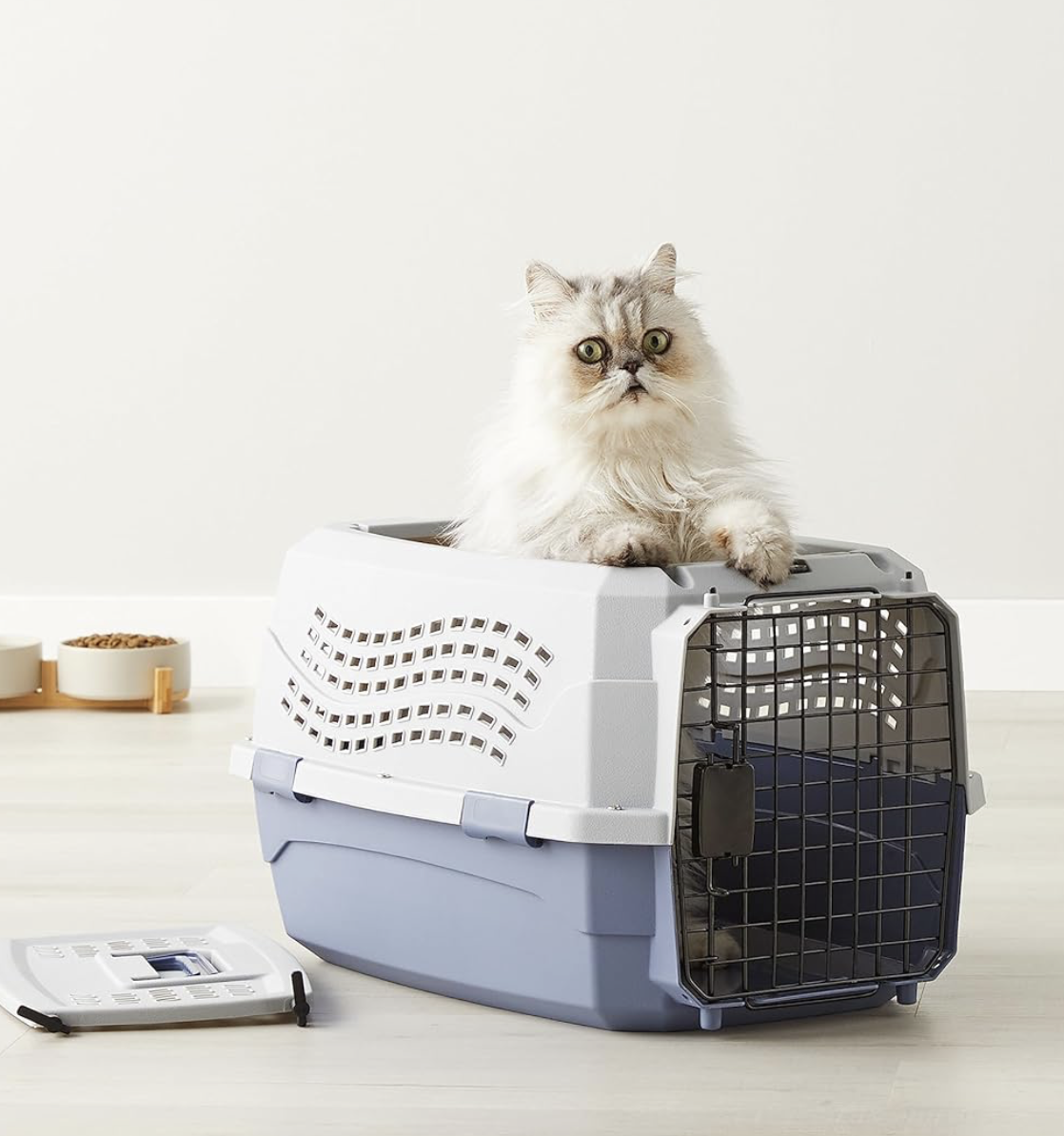 The Best Easy-Assembly Cat Carrier on Amazon (And Why I Recommend It)