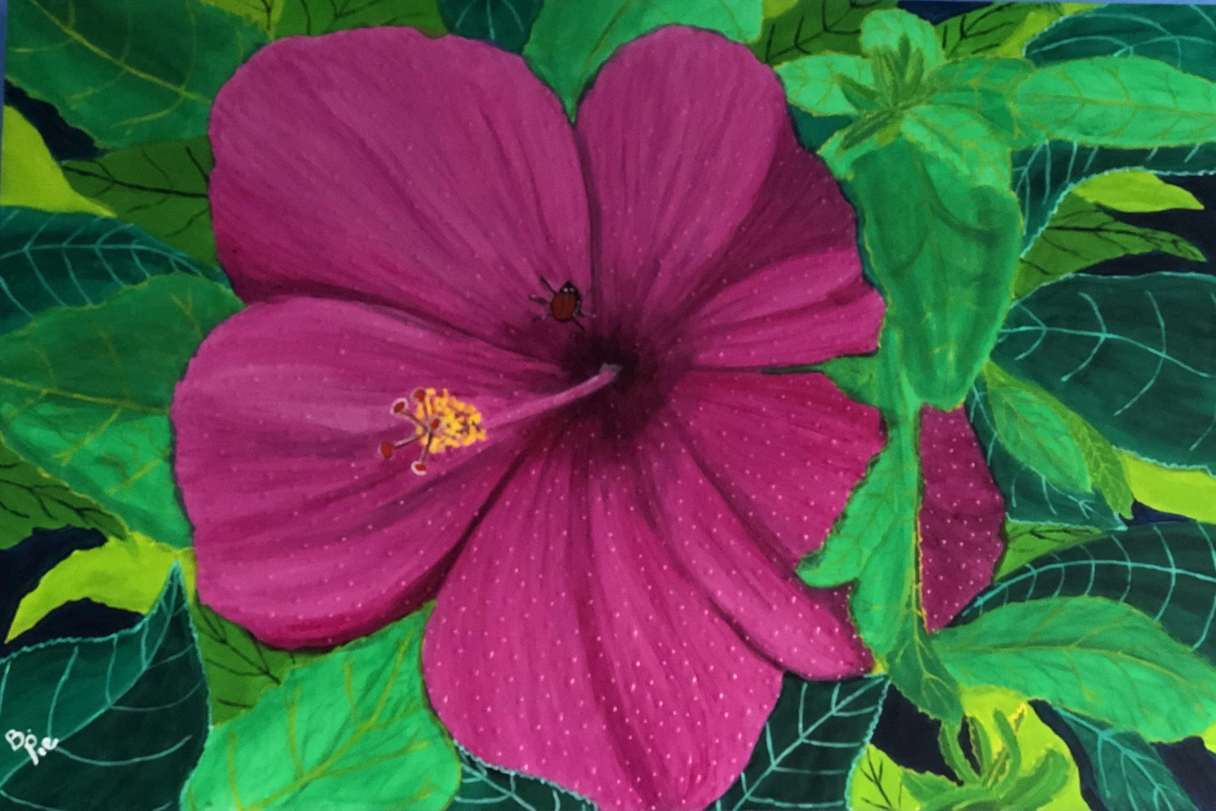 Hibiscus Harmony