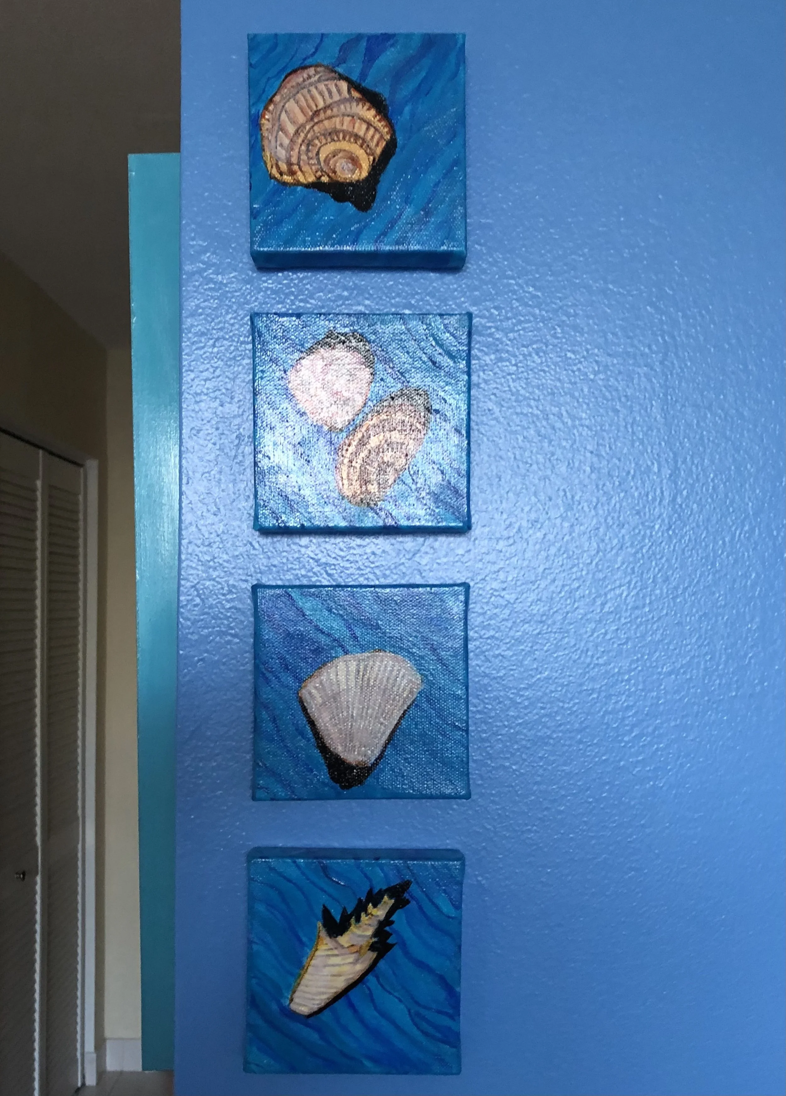 ShellStudies_2x2in_all4_acryliconboxcanvas_bpie.jpg