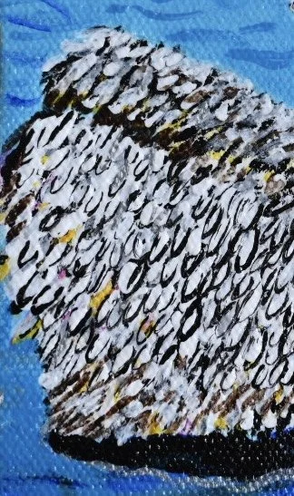 PelicansOpera_detail2_bpie.jpg