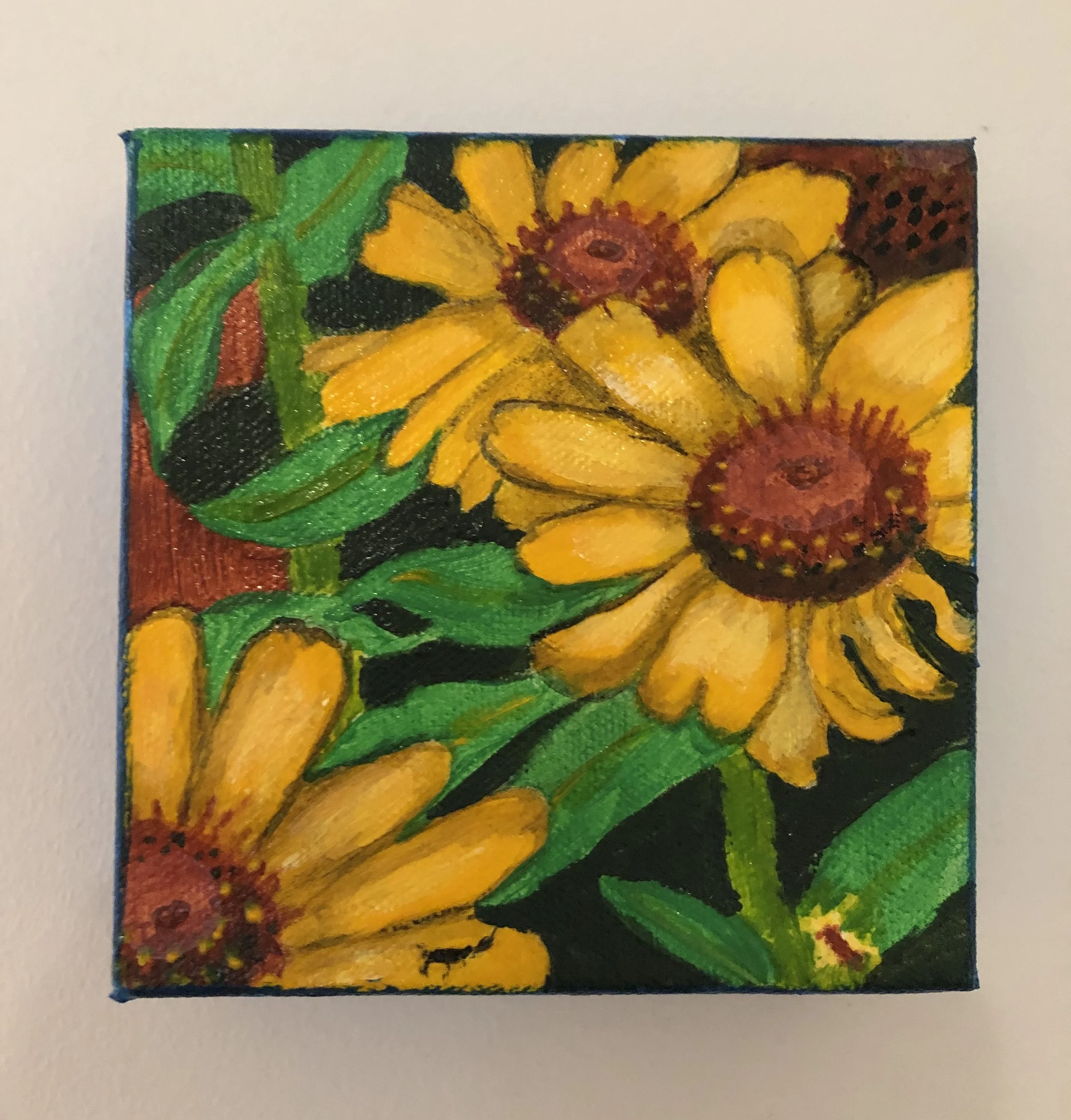 BlackEyeSusanSinging_5x5in_AcryliconBoxCanvas_Bpie.jpg