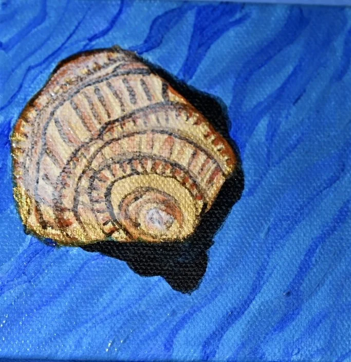 shell4_2x2in_AcryliconBoxCanvas_Bpie.jpg