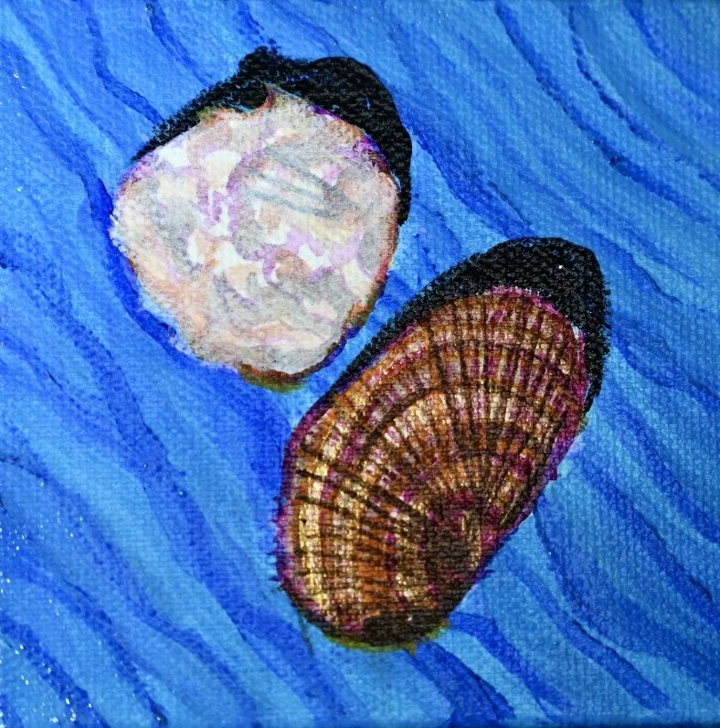 shell3_2x2in_AcryliconBoxCanvas_Bpie.jpg