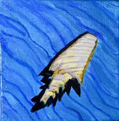 shell1_2x2in_AcryliconBoxCanvas_Bpie.jpg