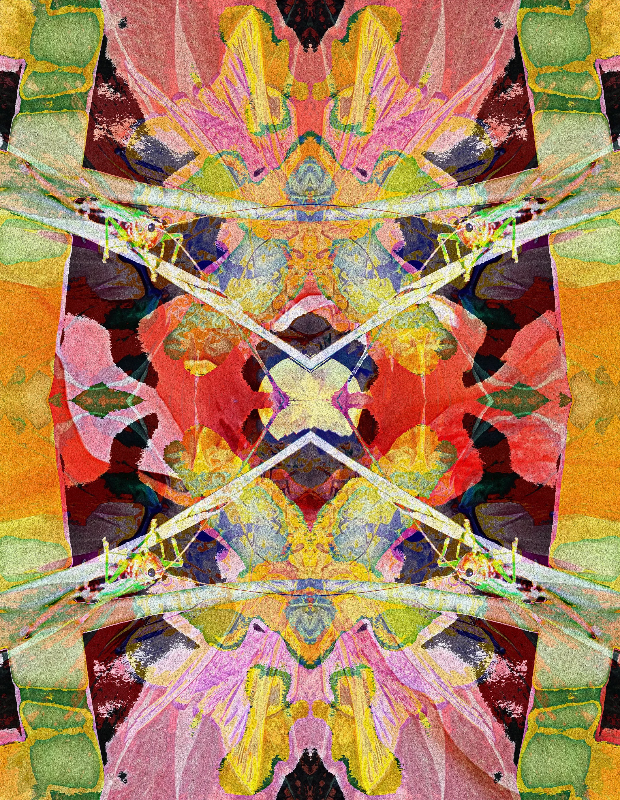 A symmetrical, colorful, abstract digital artwork featuring overlapping sections of pink, yellow, green, black, and purple with intricate patterns, resembling butterfly wings and insect-like features.