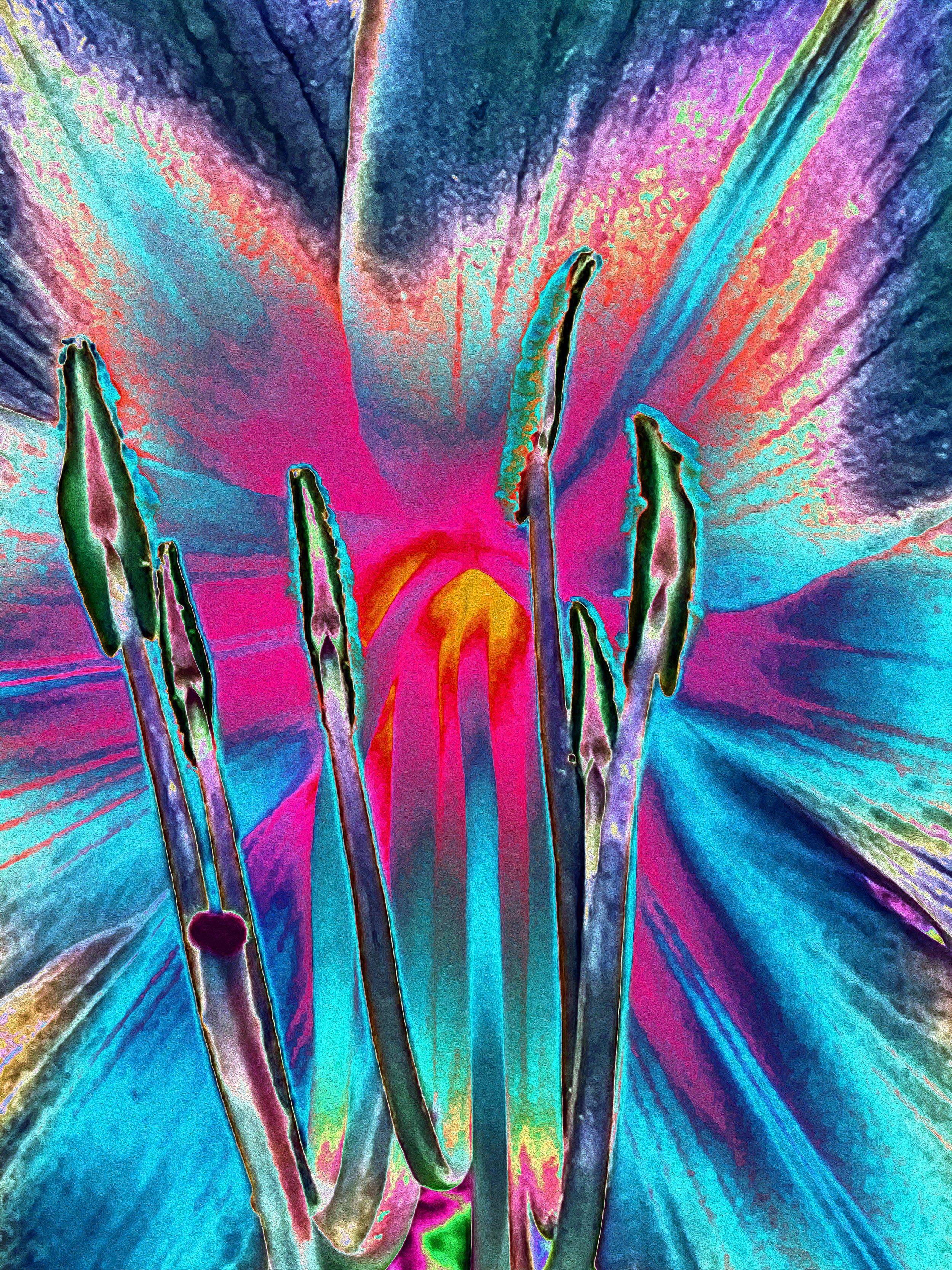 A close-up of a colorful flower petal with an abstract, digital art style. The petal features vibrant shades of pink, blue, purple, green, and yellow with textured and glowing edges.