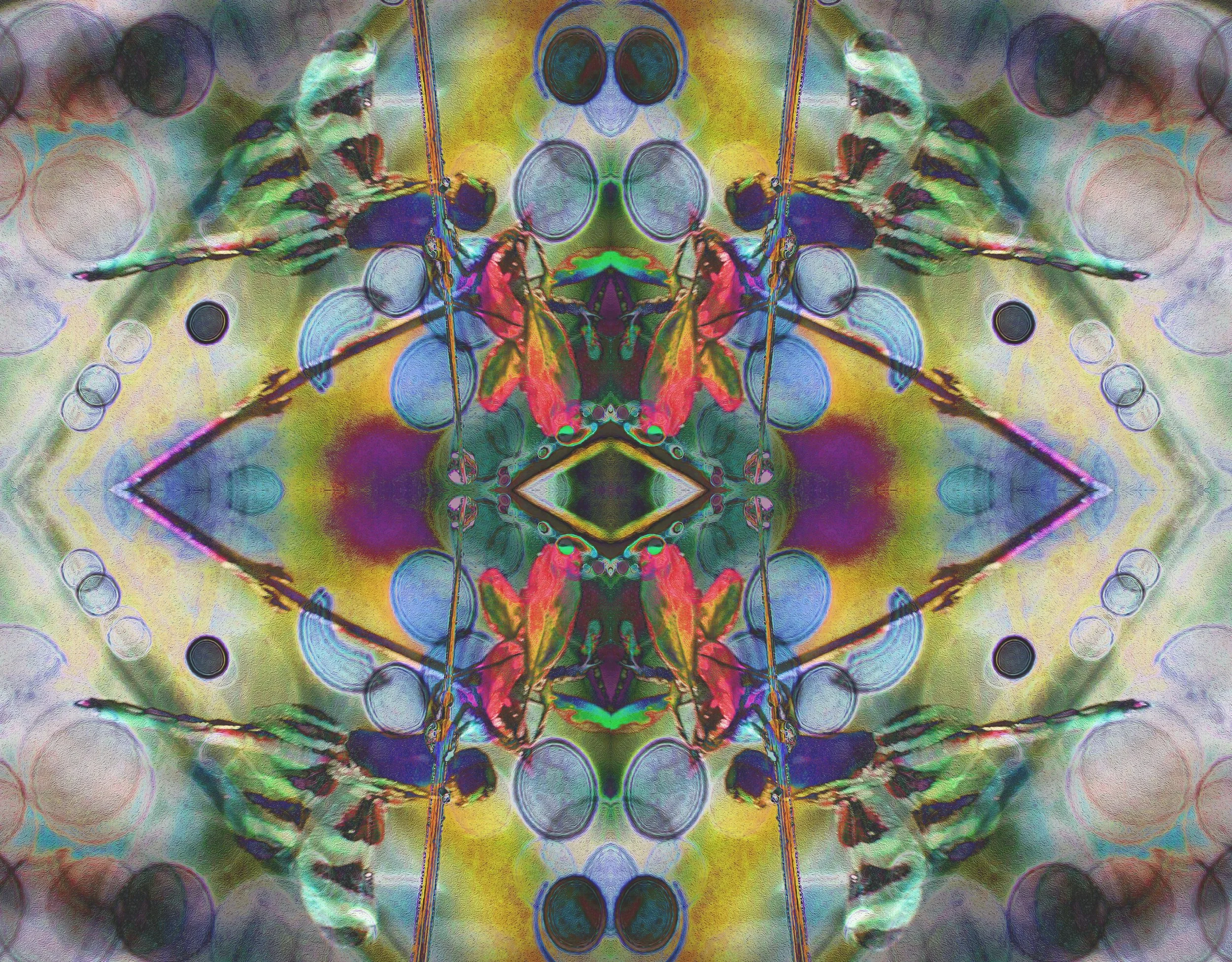 DRAGON'S EYE copy.jpg