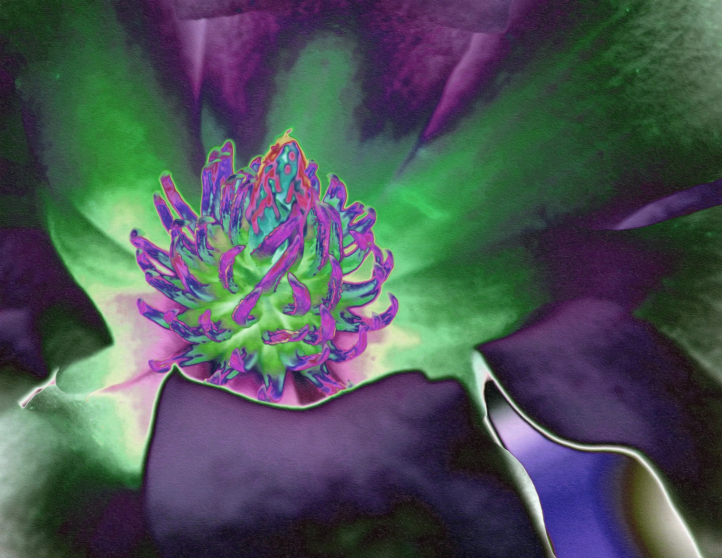 Color-adjusted close-up of a clover with purple and green hues.