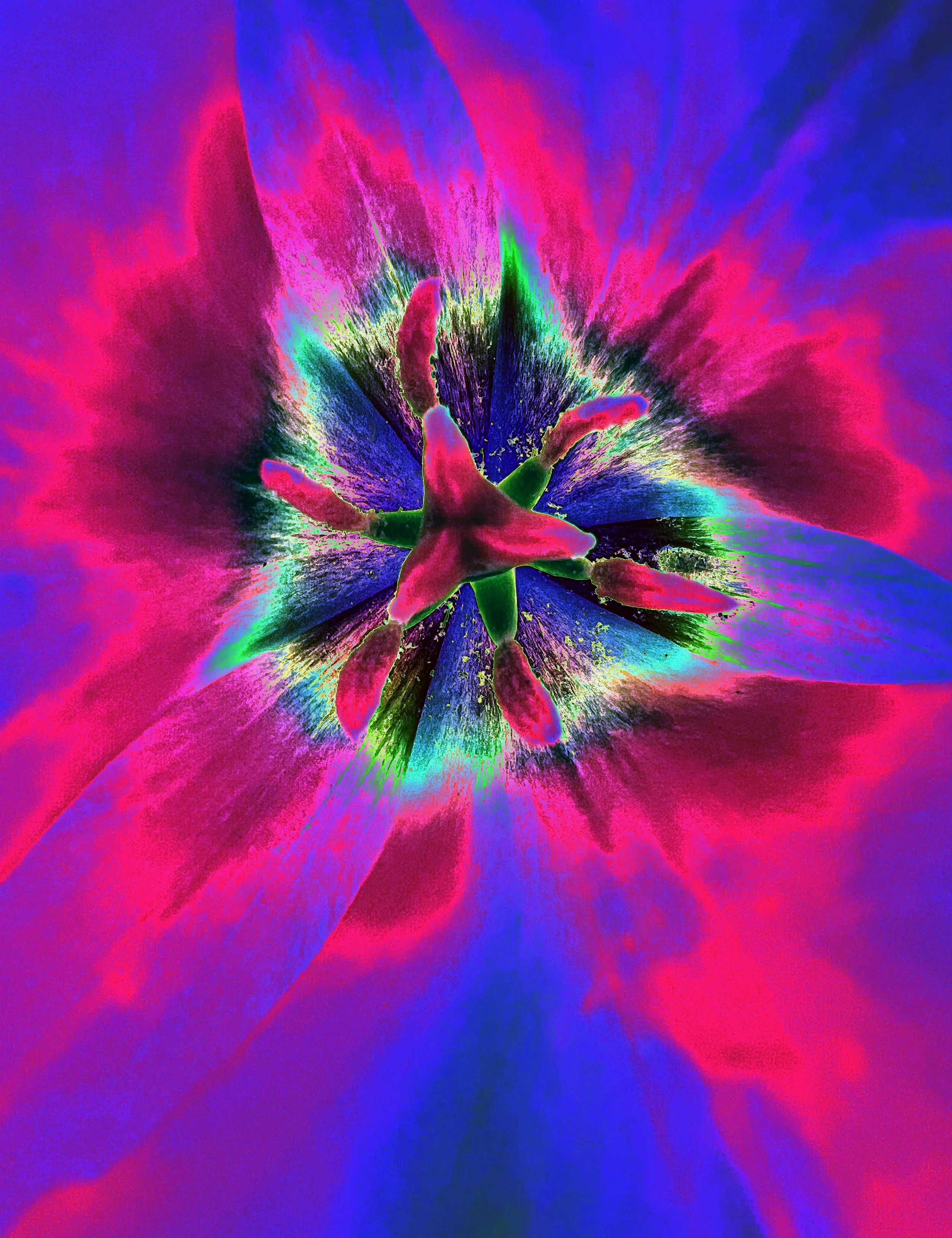 A digitally manipulated close-up photograph of a flower, showing vibrant pink, purple, blue, and green hues with a surreal, abstract appearance.